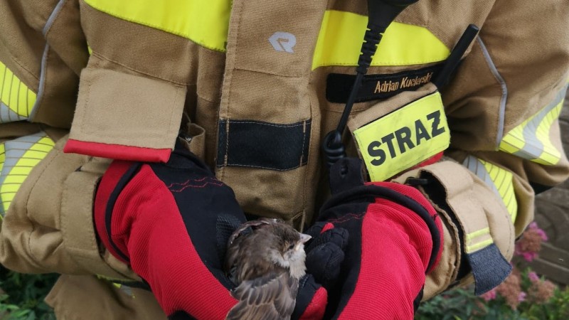 WYJAZDY OSP SWARZĘDZ