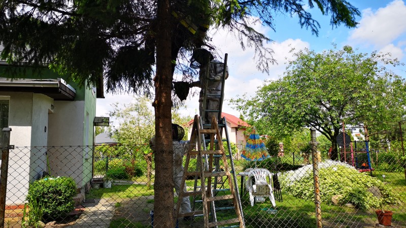 WIEŚCI Z OSP KOBYLNICA
