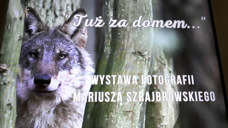 TUŻ ZA DOMEM