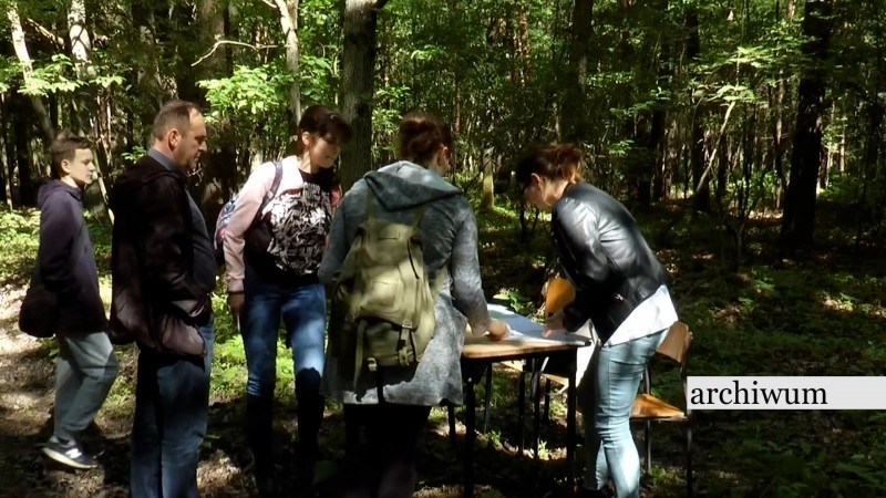 PIKNIK EKOLOGICZNY ON-LINE