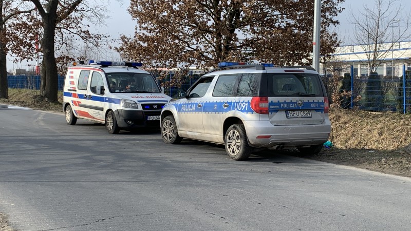 Zwłoki w przydrożnym rowie