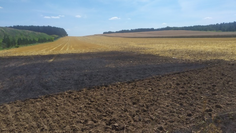 WIEŚCI OSP KOBYLNICA