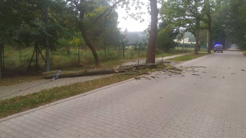 WIEŚCI OSP KOBYLNICA
